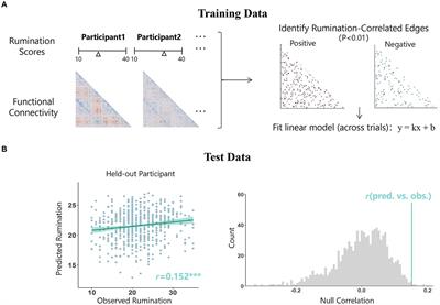Connectome-based modeling reveals a resting-state functional network that mediates the relationship between social rejection and rumination